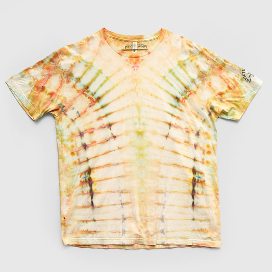 Stegosaurus Sunrise - Cotton Shirt - XXL